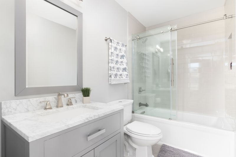 Top Tub To Shower Conversion Companies in Walnut Creek, CA