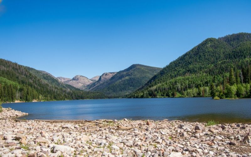 Hero for Home Services Options