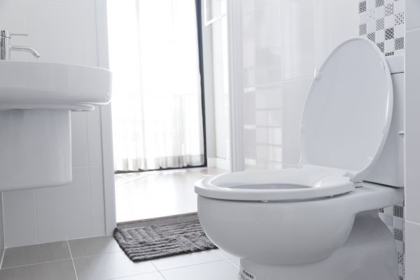 Cost of Toilet Relocation in Danville